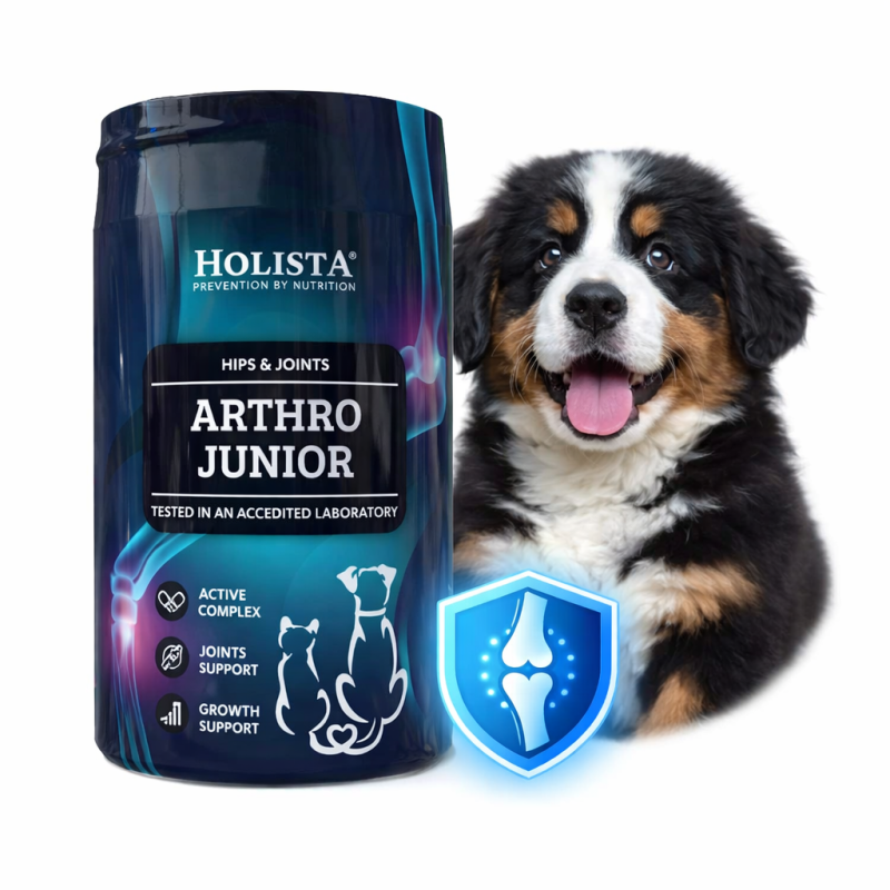 Suplement dla szczeniąt na stawy Arthro Junior Holista 200g
