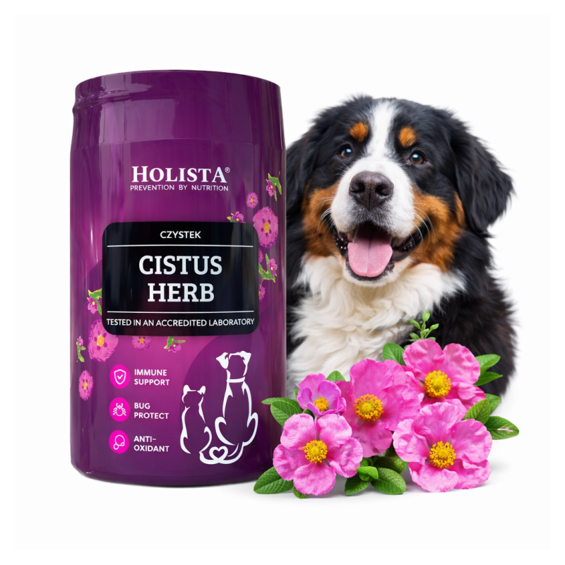 Czystek Cistus Herb 100g Holista dla psa i kota 100g