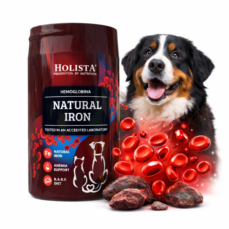 Natural Iron Hemoglobina Holista dla psa i kota 180g
