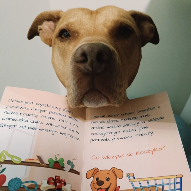 Książka dla dzieci Przygody Ginger - uczymy się o psach Dagmara Borucka