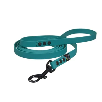 Smycz miejska dla średniego psa BioThane® turkusowa (16mm, 3m)