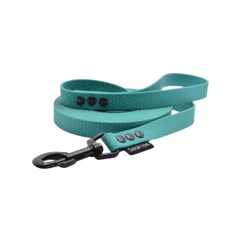 Linka treningowa wodoodporna dla psa Hexa  (13mm, 3m) turkusowa