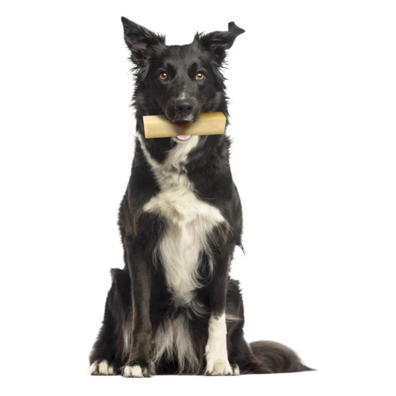 Ser himalajski twardy gryzak