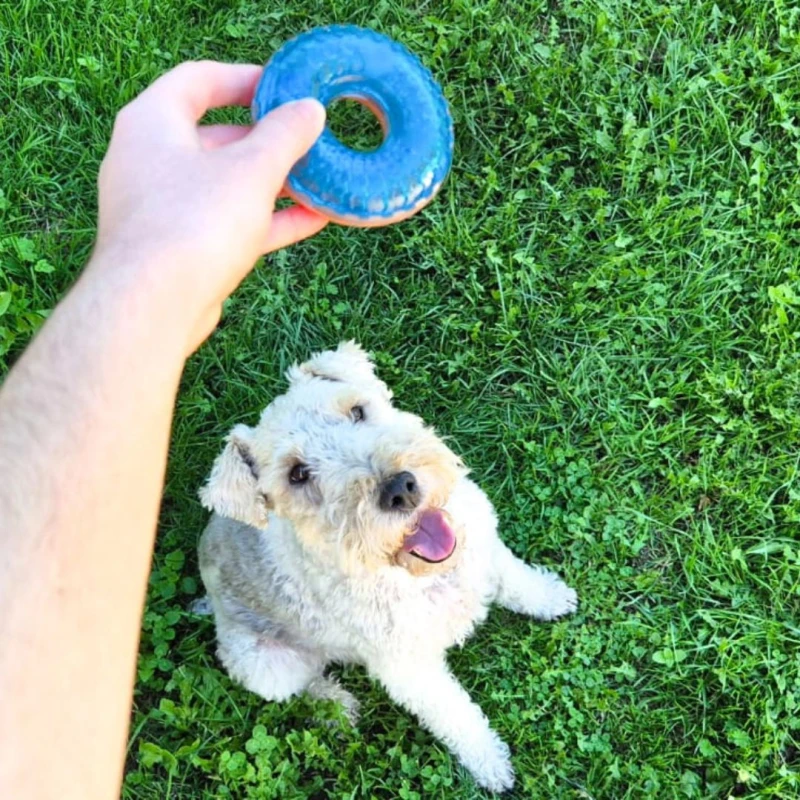 Pływający donut dla psa zabawka do aportowania TAO 8,5cm