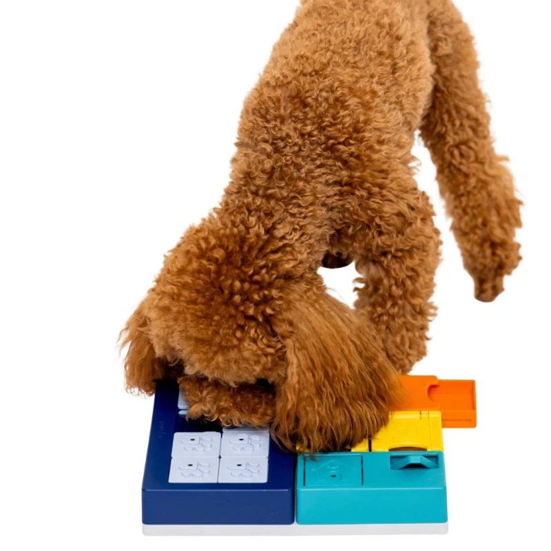 Smarty Set Pawzler