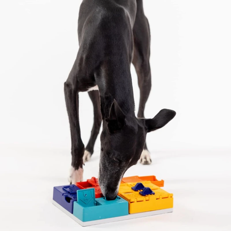 Pawzler Genius Set