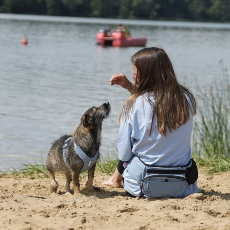 Szelki dla psa DAQQAB Outdoor Range niebieskie