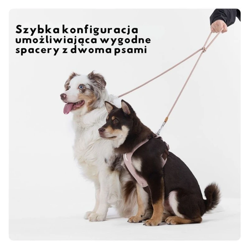 Smycz dla małego i średniego psa DAQQAB Alpine Cord