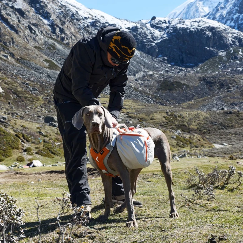 Szelki - plecak dla psa DAQQAB Base Camp