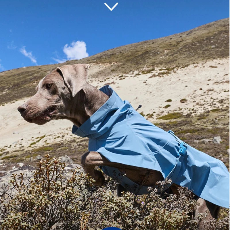 Wodoodporna derka dla psa DAQQAB Outdoor Range niebieska