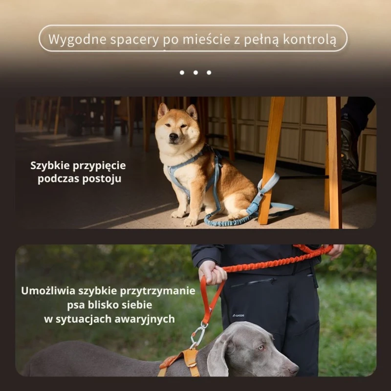 Smycz dla psa z amortyzacją DAQQAB Outdoor Range
