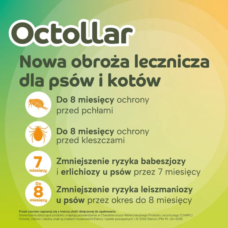 Octollar Obroża lecznicza przeciw pchłom i kleszczom dla kotów i małych psów do 8 kg 38 cm