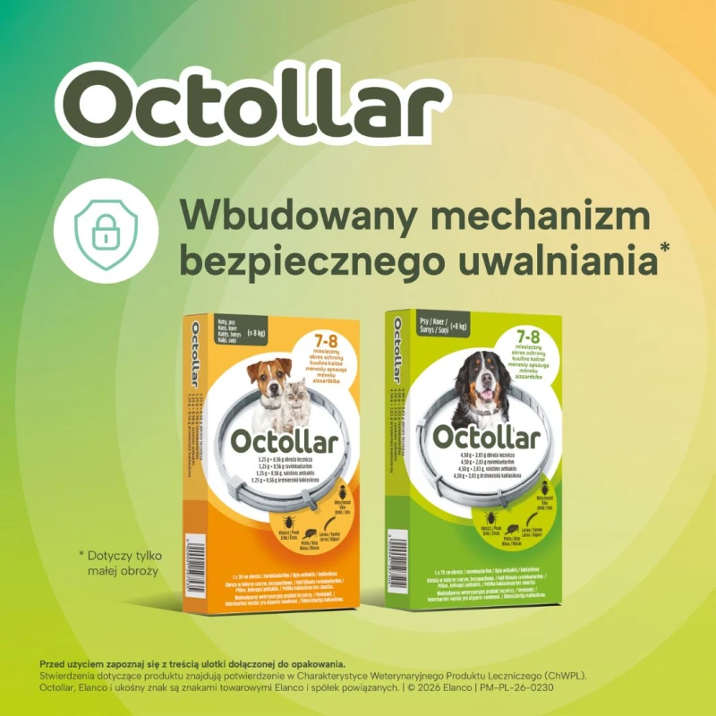 Octollar Obroża lecznicza przeciw pchłom i kleszczom dla psów powyżej 8 kg 70 cm