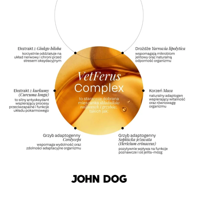Mokra karma dla psa konina z kwiatostanem karczocha For Long Life John Dog