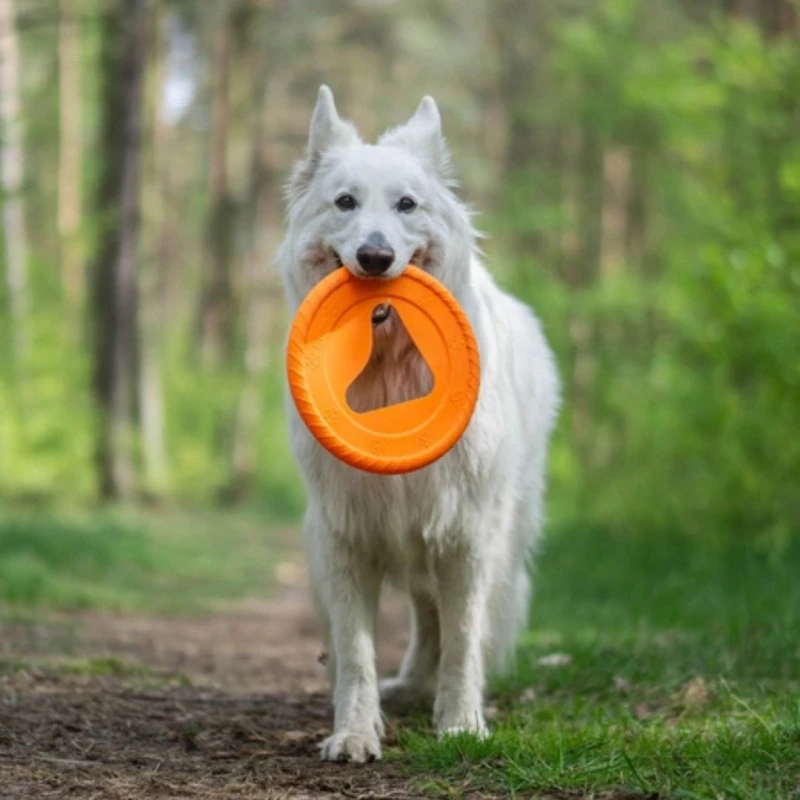 FRISBOO dysk do aportowania dla psa pomarańczowy
