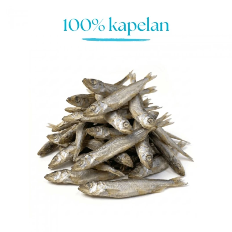 Rybki 100% liofilizowany Kapelan 80 g - Przysmak dla psa i kota Dr Malou