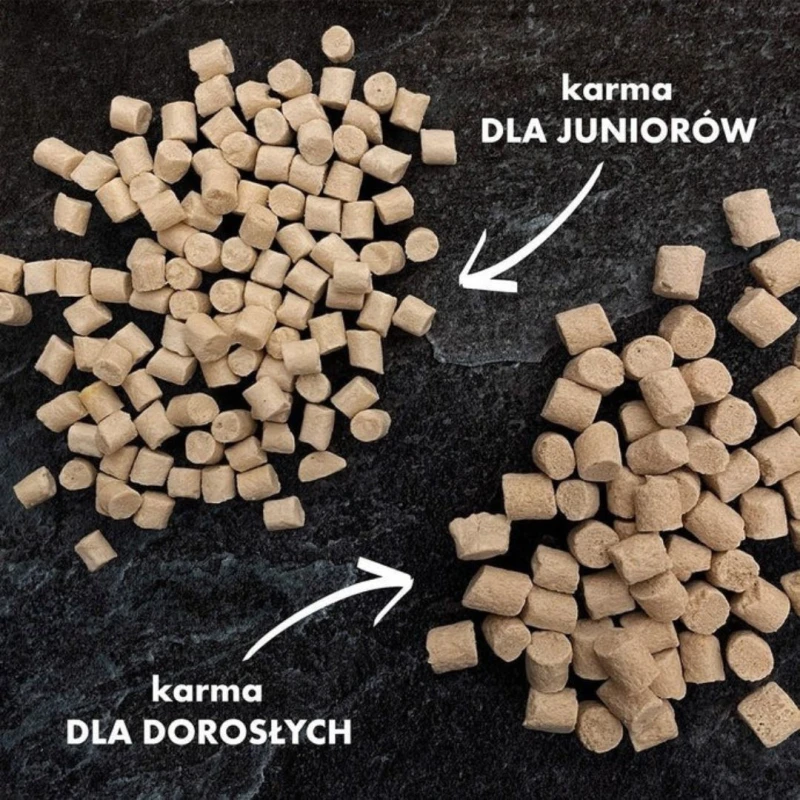 Puppies Kaczka z mlekiem kozim i żółtkiem 10 g - Próbka liofilizowanej karmy i przysmaki dla szczeniąt Dr Malou