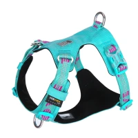 Szelki guard dla psa Truelove Adventure Dog błękitny