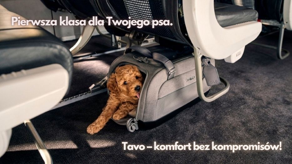 Transportery Tavo